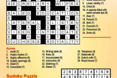 Puzzle Solutions 2019