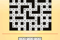 Puzzle Solutions 2021