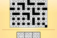 Puzzle-corner-solution-issue-29-July-23