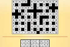 Puzzle Solutions 2024