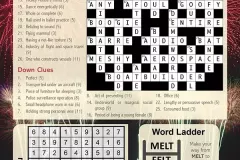 Puzzle Solutions 2026