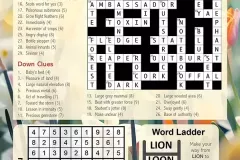 LW081-puzzle-answers