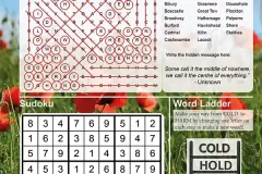 LW072-puzzle-solution