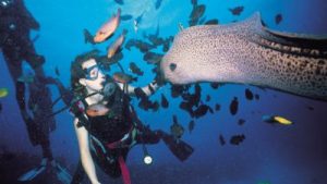 Mauritius diving