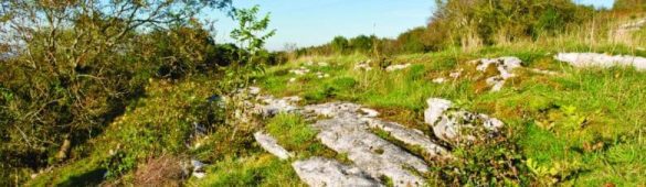 Aberduna Nature Reserve