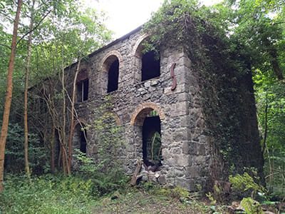 Ruins of the Patent Gunpowder Co. Ltd. premises at Pont y Meibion (SJ 194350)