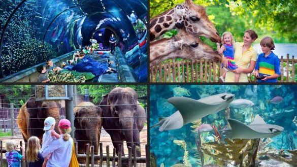 Zoos and aquaria