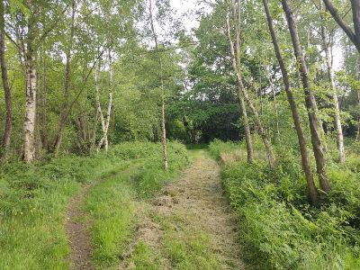 Llangollen Canal and Fenn’s Moss