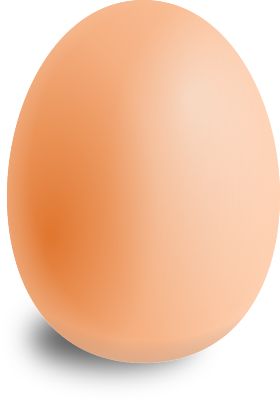 Egg - Do You Know - 30 Fun Facts