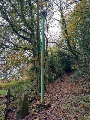 8. The strange green pole