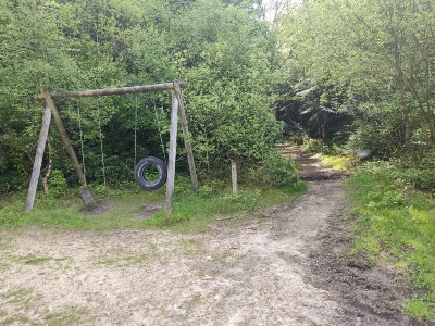 7. Take this path by the tyre swing