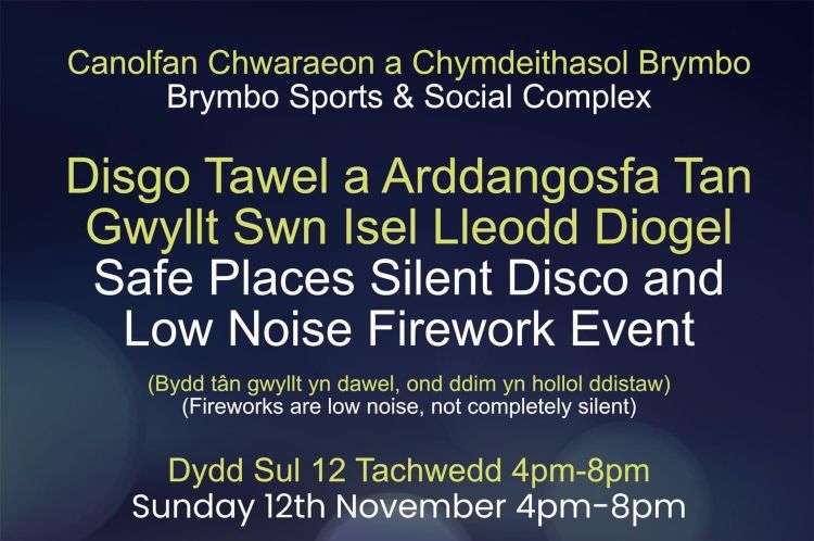 Low Noise Fireworks Event