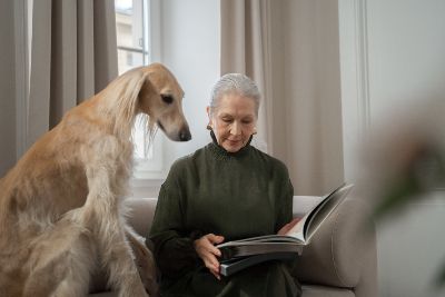 dog and owner reading