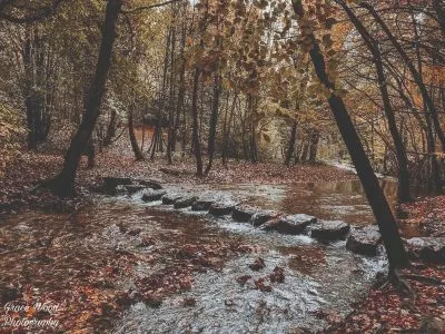 Nant Mill stepping stones – courtesy of Grace Wood photography