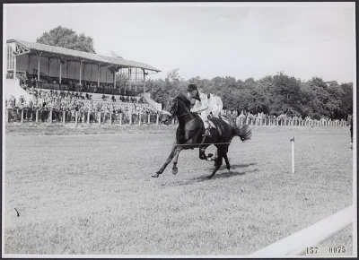 Galloping racehorse