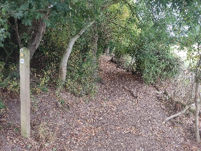 19. Follow the yellow waymarker arrow along the lower path