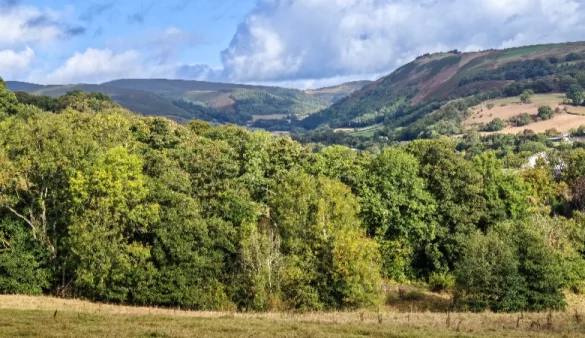 View towards the Vale of Llangollen