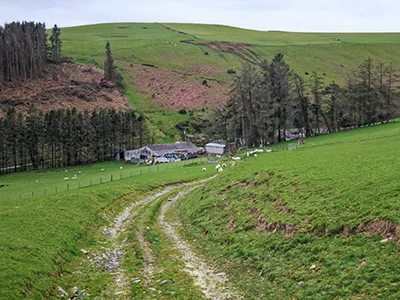 Driveway passing through the Cyrchynan-ucha farm buildings.