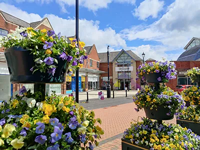 Flower displays on Henblas Street