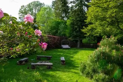 Beautiful British garden with pink roses, privet hedge and bench - Proven Habits That Keep Your Garden Looking Neat And Crisp In Every Season