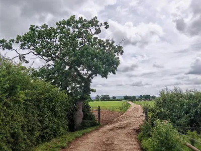 4. Turn left after the oak tree