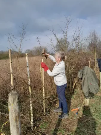 Wild Ground volunteers out and about in Wrexham