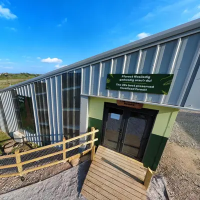 Entrance to Brymbo's fossil forest - Stori Brymbo Uncovers a 314-Million-Year-Old Story