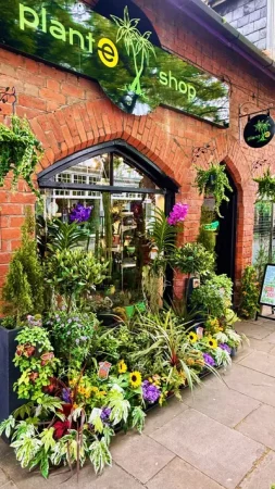 The front of plant-e on Charles Street in Wrexham - Talk of the Town: How a Love of Plants Grew Into an Award-Winning Wrexham Shop