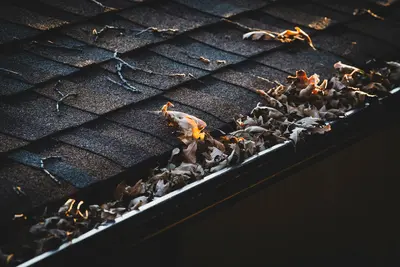 Autumn leaves and twigs clogging a roof gutter - The Overlooked Importance of Gutter Care