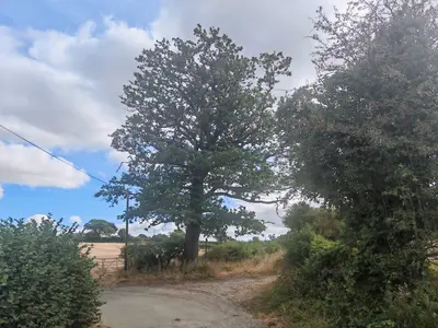Walk of the Month: The Penley Eastern Loop
