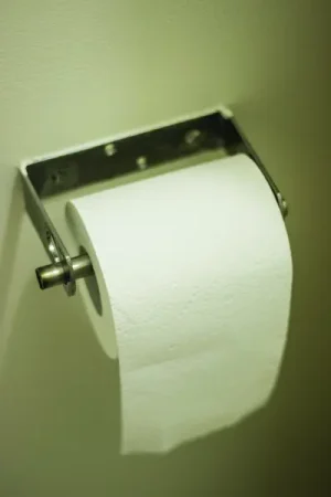 Toilet paper on a toilet paper roll holder - Do You Know? 20 Everyday Things With Mind-Boggling Stories
