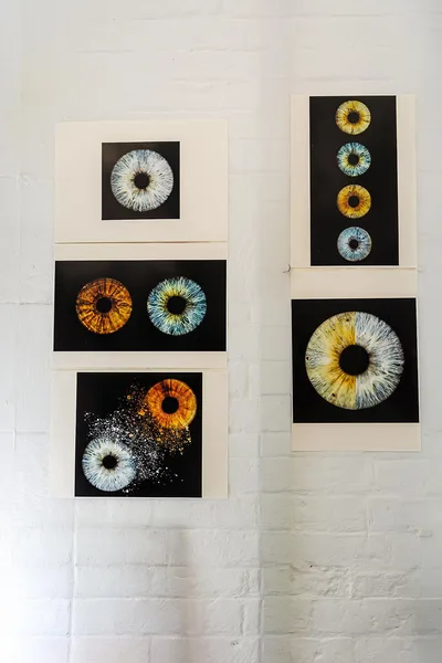Iris capture photography artwork on the wall at Eyecadia – Eyecadia: Bespoke Eyewear, Styling and Colour Analysis in Wrexham