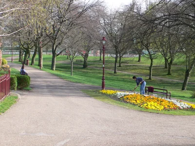 Tree-lined path and flower beds in Bellevue Park, Wrexham – Year of Wonder Dog Walks: Autumn Walks Near Wrexham