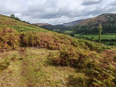 Follow the path into the bracken – Walk of the Month: The Horseshoe Falls North Circular