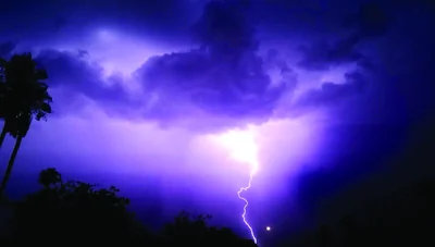 Lightning bolt striking from a purple storm sky over silhouetted trees – Do You Know? 20 Facts That Sound Made Up… But Are True
